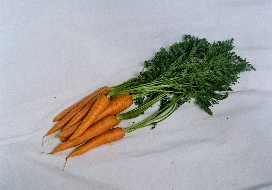 receta oleomacerado de zanahorias
