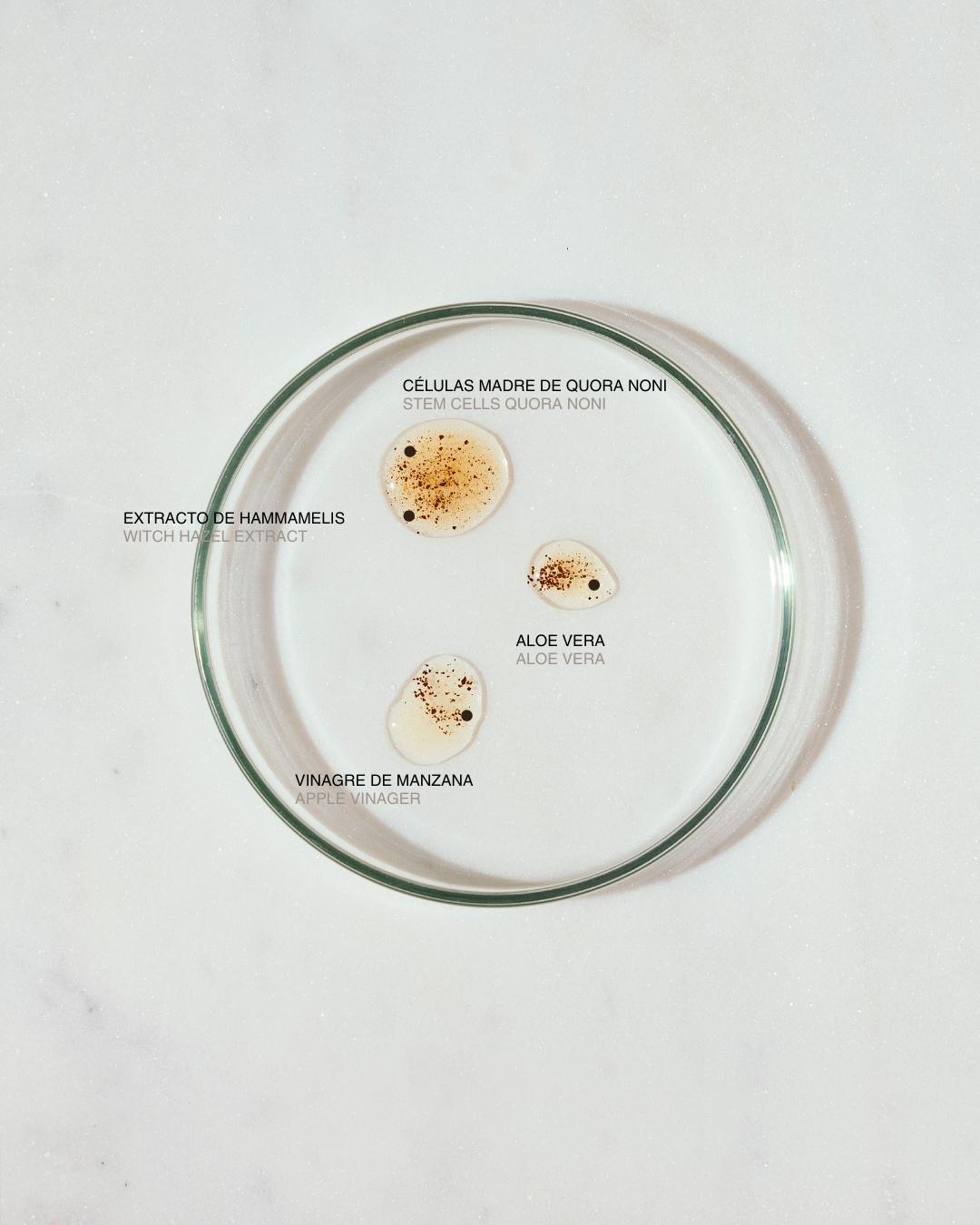 ingredientes-tonico-elixir-purificante-piel-sensible-mamita-botanical