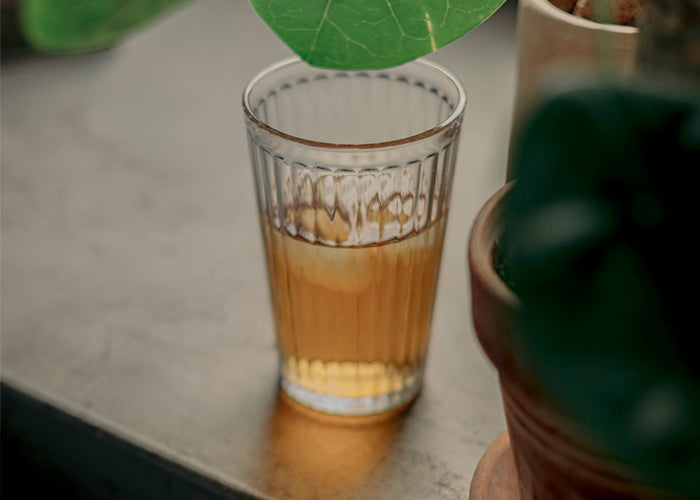 infusiones botanicas