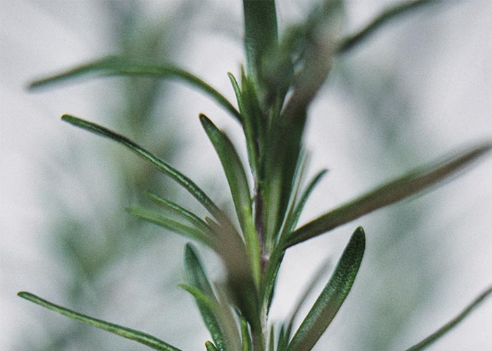 BÁLSAMO AROMÁTICO MULTIUSOS