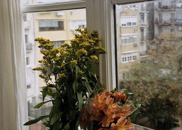 DESMAQUILLANTE NATURAL - BIFÁSICO