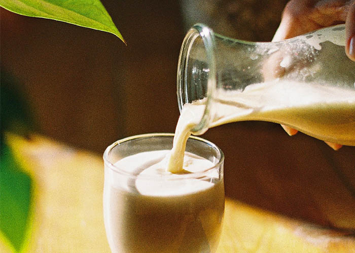 RECETA HORCHATA DE ANIS