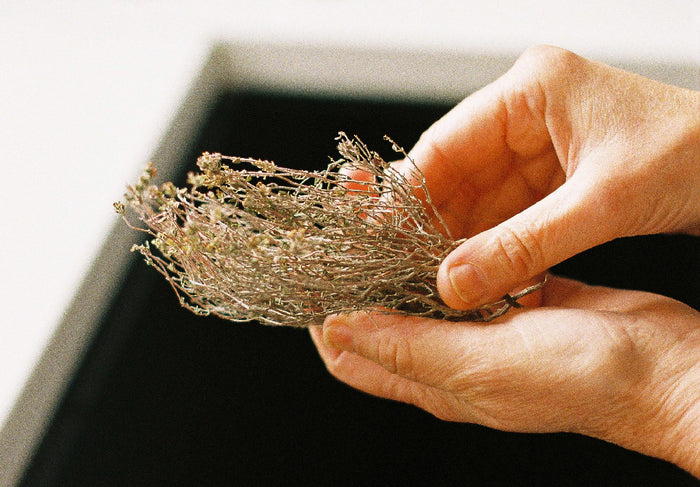 SOPA MEDICINAL DE TOMILLO