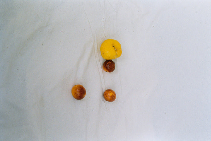 ¿QUÉ ES EL COLÁGENO?